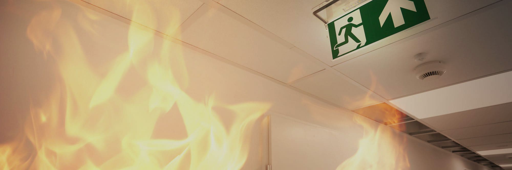 banner_3